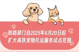 好消息：狗子能在广州南站上车了！坏消息：太胖不行图片