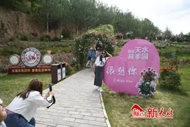 观天水丨天水市民在北山月季生态园打卡赏花图片