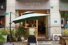 85后咖啡女孩与她的“柳林风声”图片