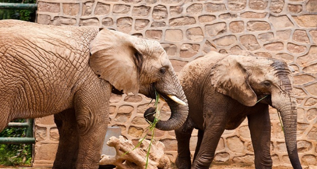 部分地铁直达！郑州7个对老年人免费的景区推荐！