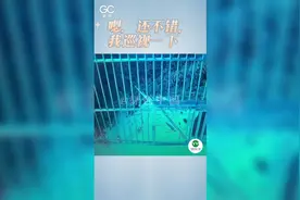 谢谢大家的关心，目前福猪猪状态很好，请大家放心！图片