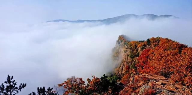 藏不住啦！延边这些“顶流”都是秋色巅峰