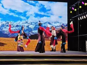 山水与大漠对话 巴渝与西夏共鸣！四地文旅专场推介会在银川启幕