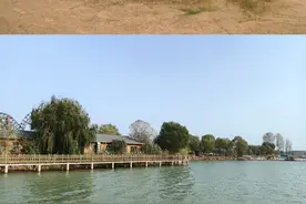 山东聊城位山灌区走访见闻图片