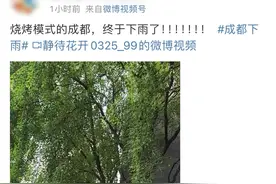 终于下雨了 四川要凉快了？别高兴太早……图片