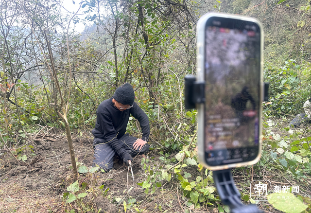 一场摸索于山野、流量与规则之间的“荒野求生”
