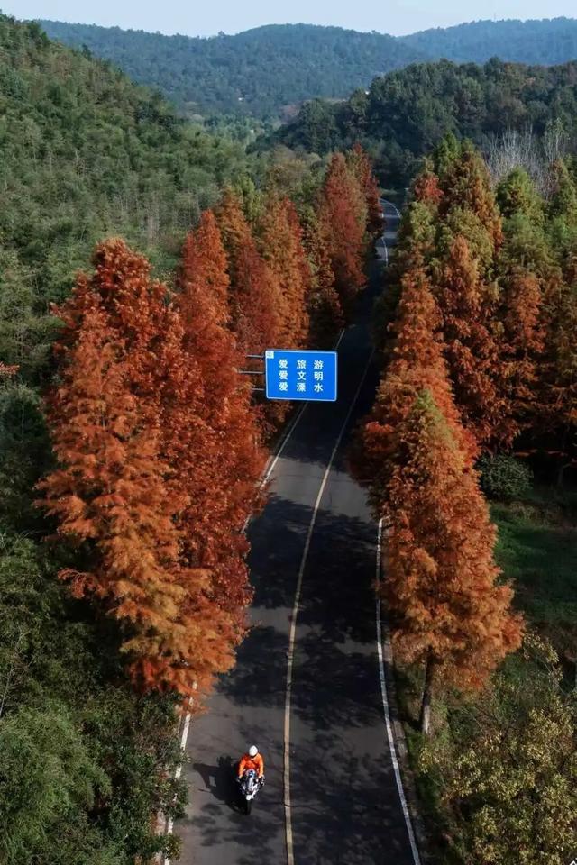 溧水秋天，有点好“骑”~