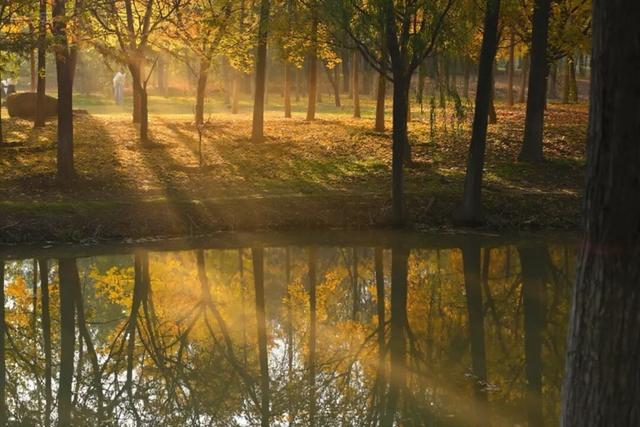 美绝！西安初冬的含金量还在上升！