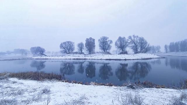 热干面遇见蒸烧卖，开启一场跨越2000公里的季节约会