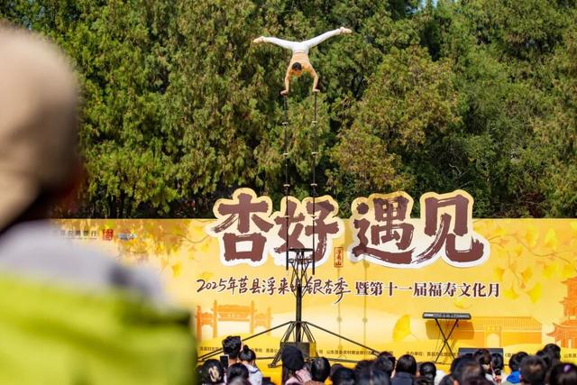 赵立坚微博打call日照银杏古树！附高清大图+进阶玩法！