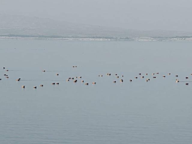 组图｜红崖山水库：邂逅一汪清冽 收藏冬日静美