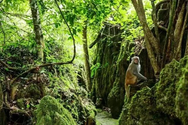 南宁就是冬日旅游天花板！摘果+跑马+演唱会+美景打卡，带你玩转“水果自由”之旅