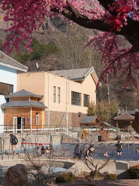 初冬的第一份暖意，藏在唐家湾里