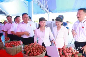 好生态孕育良心果，高州市平山镇以盛会助“荔”出圈图片