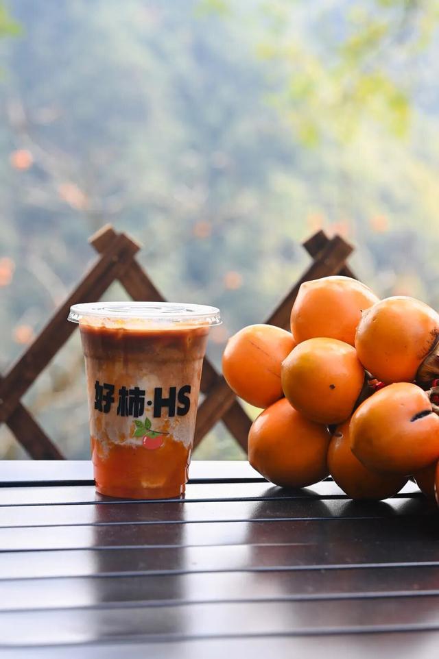 柿子挂满枝头！浙江古村的秋日盛宴，看完就想出发