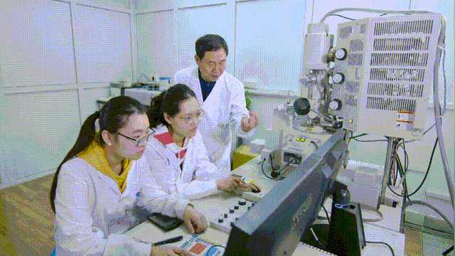 喜讯！康振生院士荣获陕西省最高科学技术奖