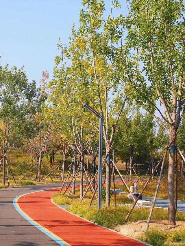 邂逅初冬，大兴6条宝藏慢跑路线请收好