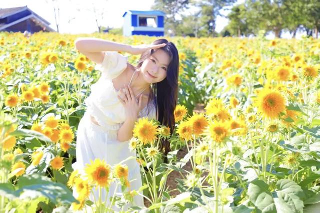 南宁秋日赏花攻略，带你一键解锁这份限定版的秋花图鉴！