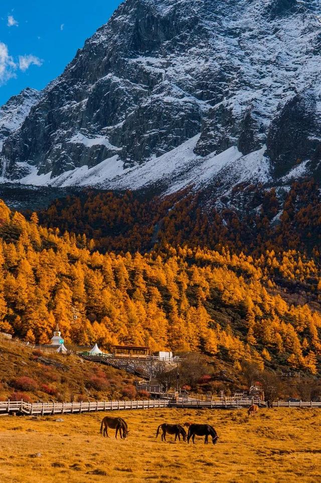 11月最应该去哪里旅行？