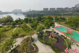 广西梧州推进城乡绿化提升：生态好地 逐“绿”而行图片
