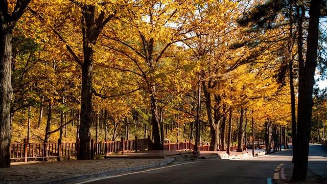 @南方小土豆！白云山免票福利来啦！邀你一起来看雪！
