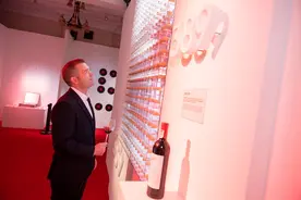 【深度】失落三年，奔富中国重整旗鼓图片