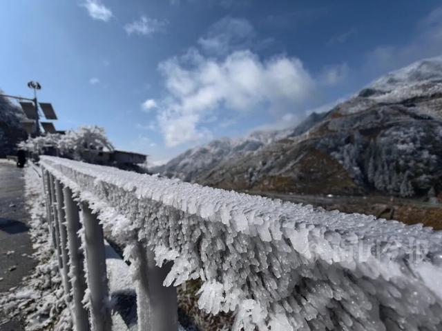 有执念！柳州这个森林公园变身“冰雪王国”，紧急封路也要走上去！