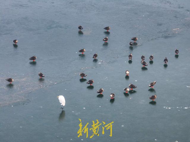 一年四季 泉在济南｜雾漫山湖！冬日晨雾如墨染华山