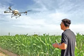 粮菜豆肉、绿水青山……陕西的乡村有多少种“打开”方式？图片