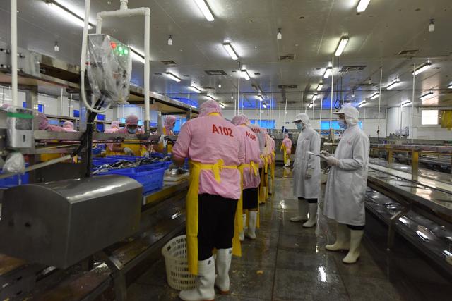 肇庆一周｜山水赋能，古郡“新生”，打造文旅名城