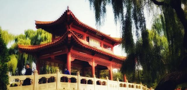 一年四季 泉在济南 |因泉而兴，因水而灵！济南这座城，是山东私藏的“后花园”