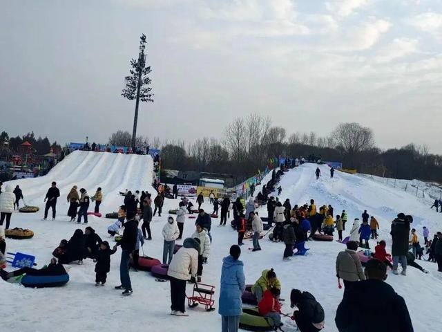 这个元旦去哪玩，济宁太白湖新区十余项精彩节庆活动等你来体验