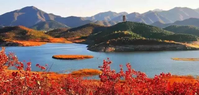 绝美！今秋，就去北京这些登山步道赏红叶！