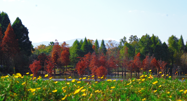 官渡街道“寻迹官渡·文润西亮”文化定向打卡体验活动举行