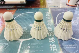原材料上涨近4成！羽毛球集体涨价，球友呼唤行业“破壁者”图片