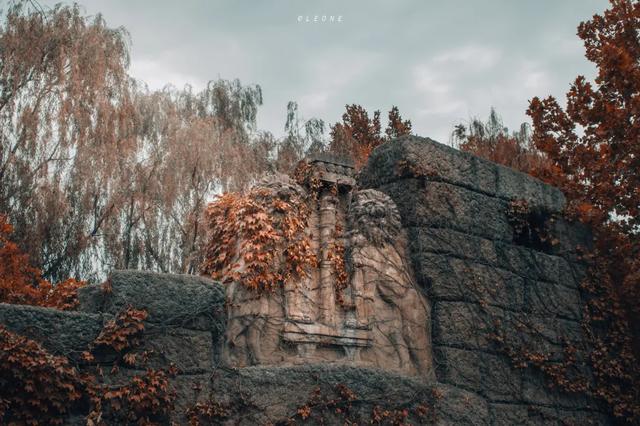 顶级美学!西安这4个园林,美到失语!