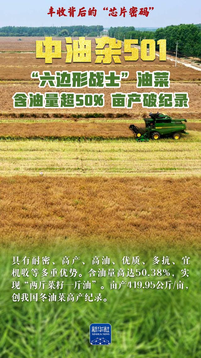 丰收背后的“芯片密码”