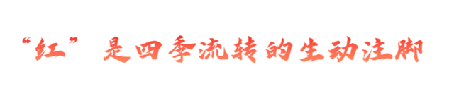 净月潭 很“红”