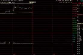辣椒财经｜上市首日暴涨！这只新股中一签最高可赚9万元图片