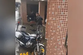 吓人！广州一小区多次出现“高空坠猫”，邻居好心塞：又臭又吵图片