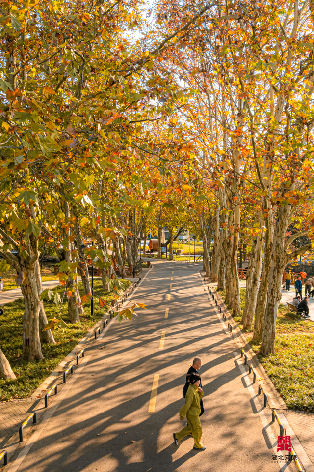 抓住晴天尾巴，徒步青龙山！