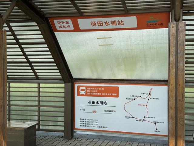 追踪：上海青西郊野公园24小时内可免费停车，下调观光车费用，无限次乘坐