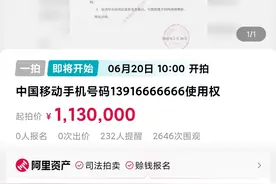 归属地上海一尾号6666666手机号将被拍卖 估值160多万图片