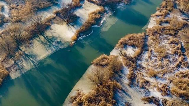 秋景大片都没看，洛阳的秋天，这就结束了？