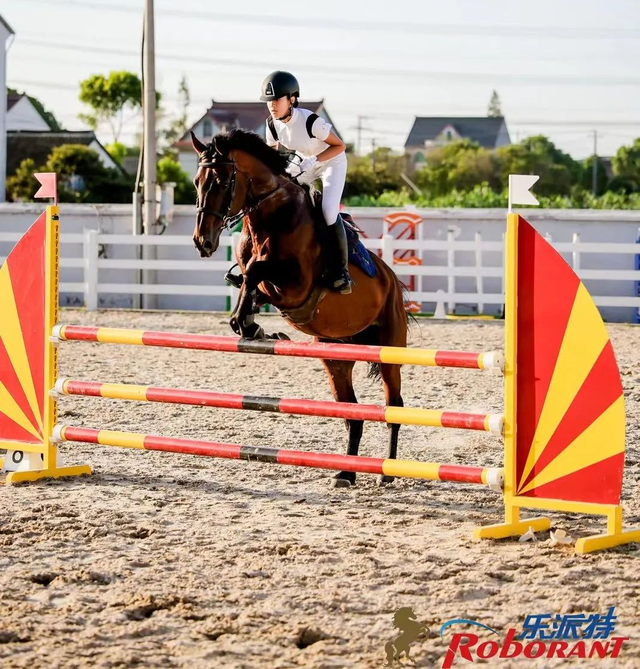 域见上海·域见奉贤｜马年遛娃好去处！奉贤这家马术俱乐部，能骑马、DIY马蹄铁……还藏着冠军马