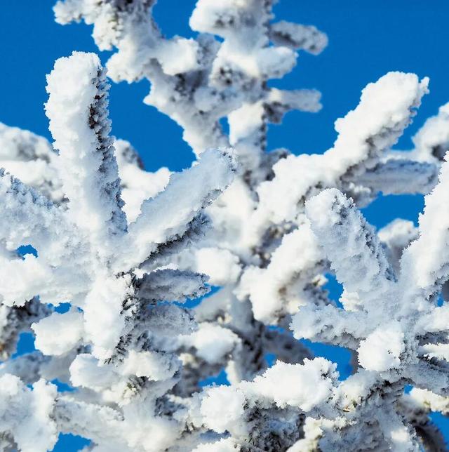 中国最美雾凇观赏地，在哪？