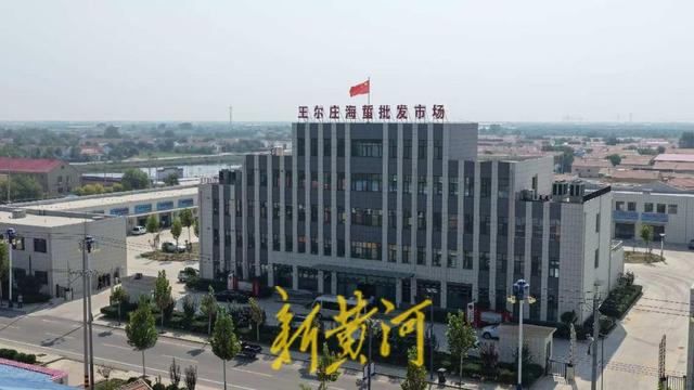V行滨州·寻脉沾化网络名人采风活动圆满收官