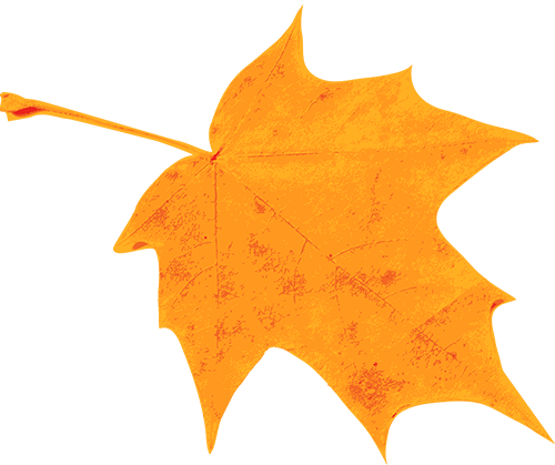 本周天气晴好 温度小幅震荡