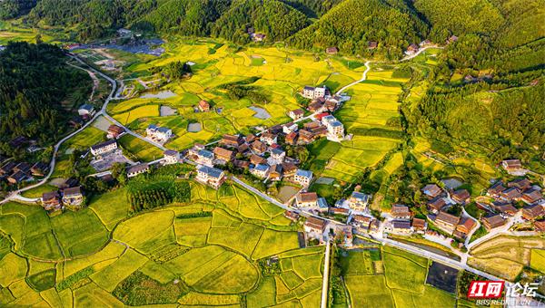 湖南通道侗寨：金秋“丰”景，藏在山水间的诗意画卷
