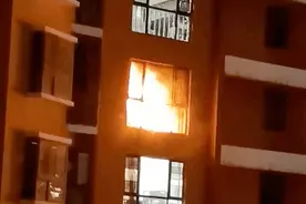 教科书级别的示范！9岁小女孩带弟弟成功火海逃生图片